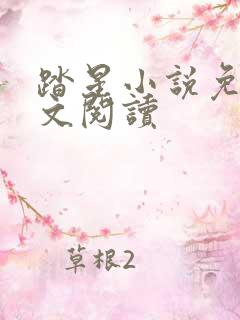 踏星小说免费全文阅读