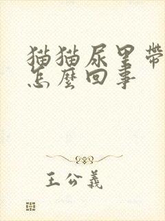 猫猫尿里带血是怎么回事