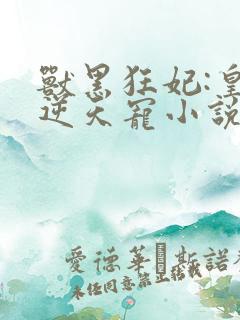 兽黑狂妃:皇叔逆天宠小说
