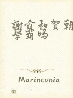 谢俞和贺朝都是学霸吗