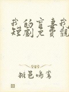 我的盲妻我的心短剧免费观看完整版