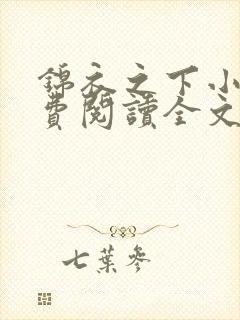 锦衣之下小说免费阅读全文正版