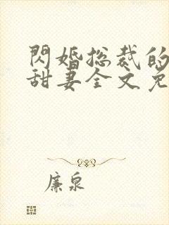 闪婚总裁的契约甜妻全文免费