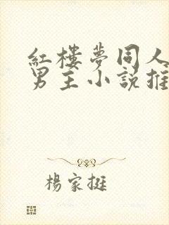 红楼梦同人文双男主小说推荐