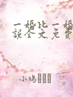 一婚比一婚高小说全文免费阅读