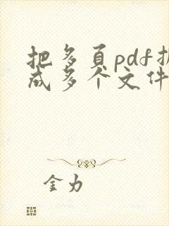 把多页pdf拆成多个文件