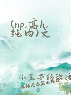 (np,高h,纯肉)文