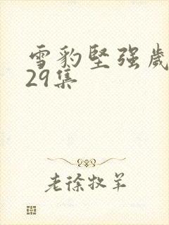 雪豹坚强岁月第29集