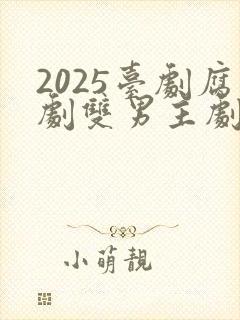 2025台剧腐剧双男主剧