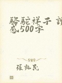 骆驼祥子 读后感500字