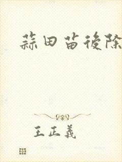 蒜田苗后除草剂