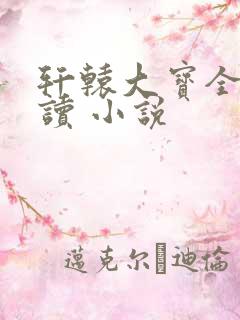 轩辕大宝全文阅读 小说