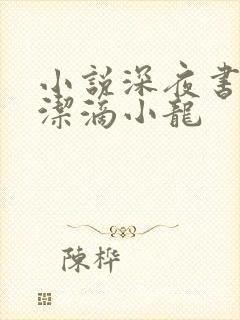 小说深夜书屋纯洁滴小龙