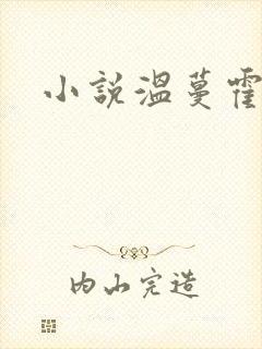 小说温蔓霍邵庭