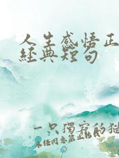 人生感悟正能量经典短句