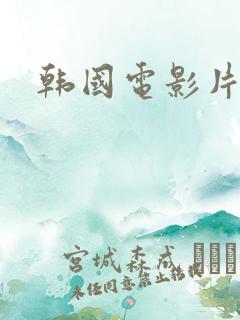 韩国电影片爱人