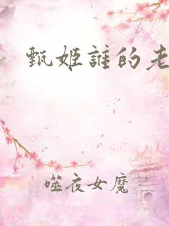 甄姬谁的老婆