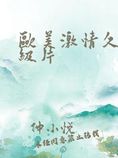 欧美激情久久一级片