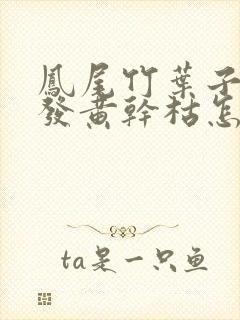 凤尾竹叶子叶尖发黄干枯怎么补救