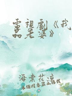 电视剧《我的极品老婆》