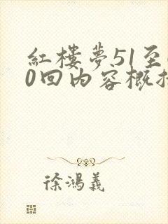 红楼梦51至60回内容概括