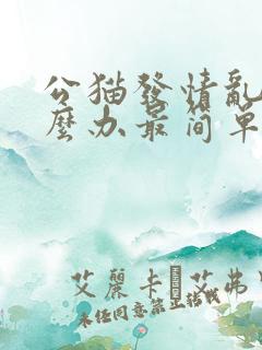 公猫发情乱尿怎么办最简单方法