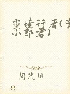 灵境行者(卖报小郎君)