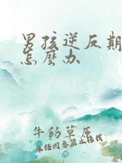 男孩逆反期家长怎么办