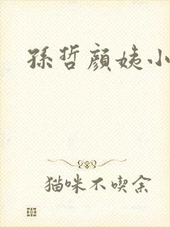 孙哲颜姨小说
