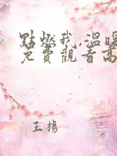 点燃我,温暖你免费观看高清