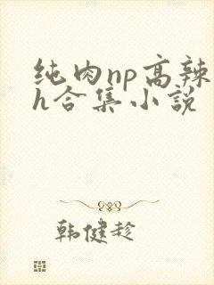 纯肉np高辣文h合集小说