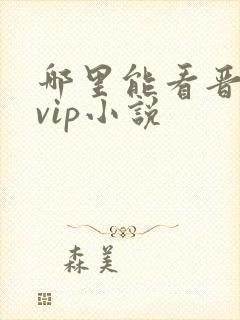 哪里能看晋江的vip小说