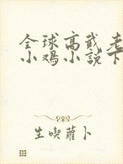 全球高武老鹰吃小鸡小说下载全集