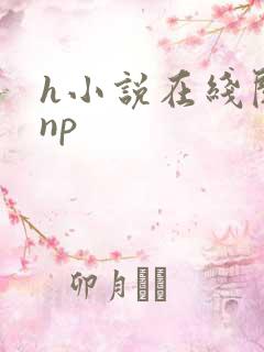 h小说在线阅读np