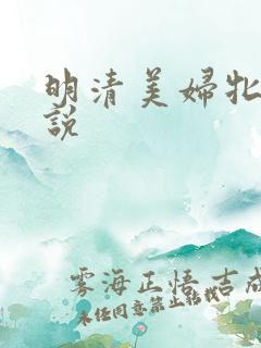 明清美妇牝户小说