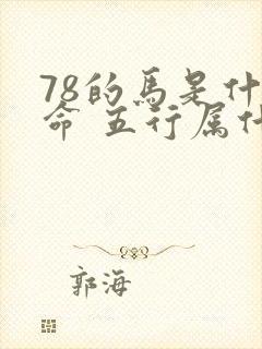 78的马是什么命 五行属什么
