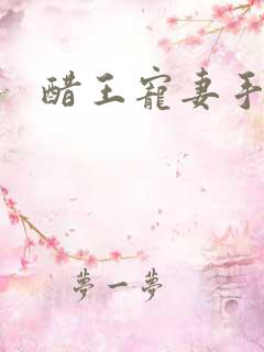 醋王宠妻手札