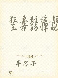 狂妻难追,腹黑王爷的悍妃