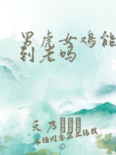 男虎女鸡能白头到老吗