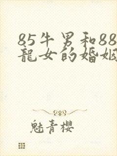 85牛男和88龙女的婚姻