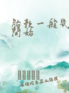 胎教一般几个月开始