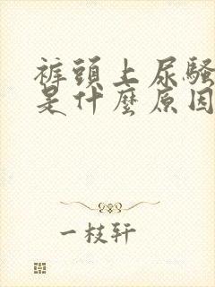 裤头上尿骚味重是什么原因