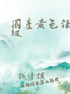 国产黄色录像一级