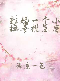 离婚一个小孩子抚养权怎么判定