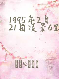 1995年2月21日凌晨6点左右生辰八字