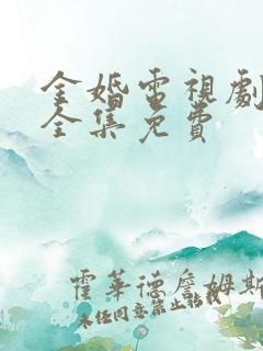 金婚电视剧在线全集免费