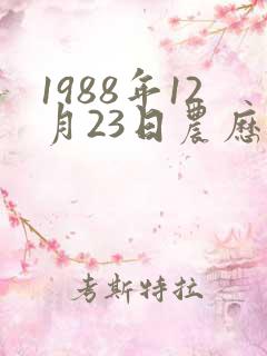 1988年12月23日农历生辰八字
