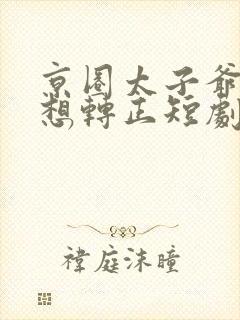 京圈太子爷每天想转正短剧