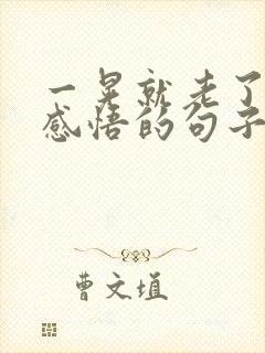 一晃就老了人生感悟的句子