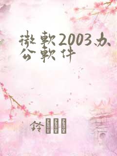 微软2003办公软件